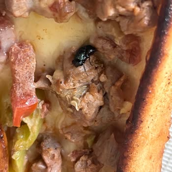 Kepenek Pide Restaurant Kuşbaşılı Pide İçinde Pişen Sinek Şoku