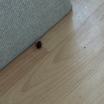 Atakum Suit Otel Çok Kötü Bir Apart