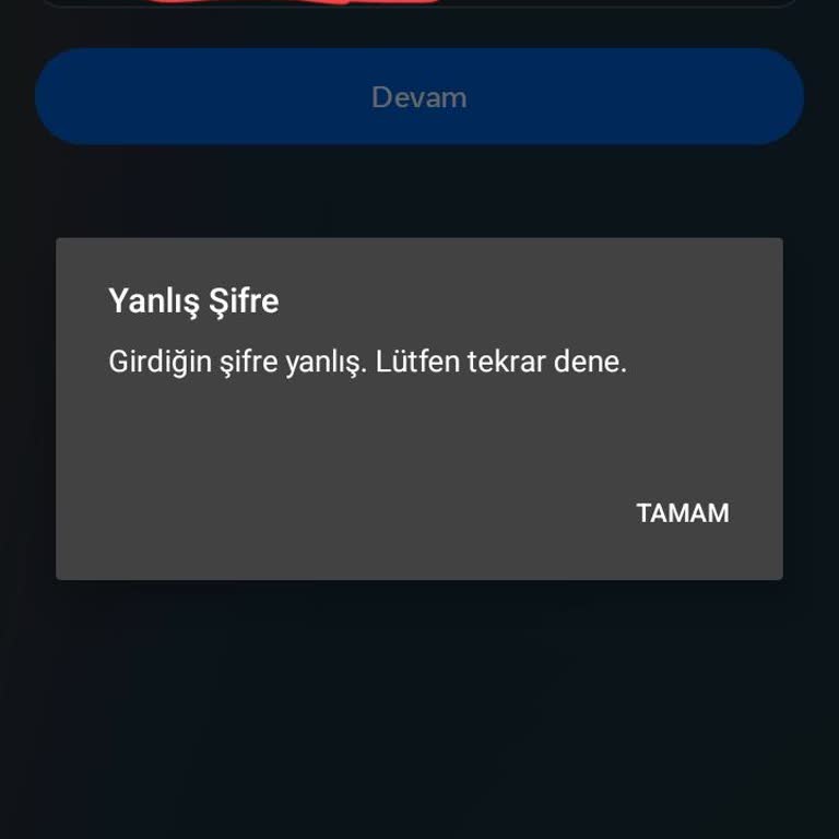 Instagram Hesabıma Giriş Yapamıyorum