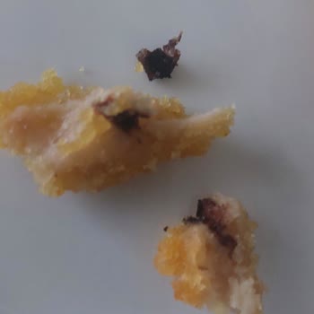 Lezita Schnitzel'de Şok Edici Yabancı Madde!