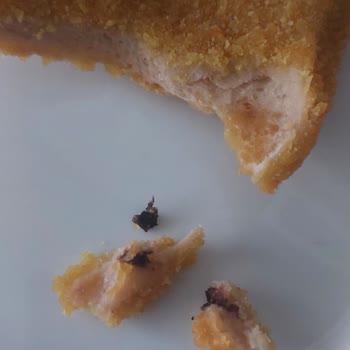 Lezita Schnitzel'de Şok Edici Yabancı Madde!