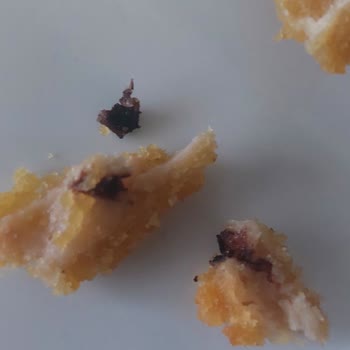 Lezita Schnitzel'de Şok Edici Yabancı Madde!