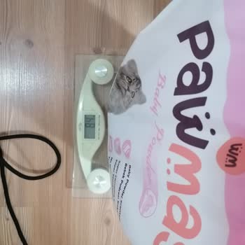 Frog Pet Store Görülen Etiket İle Asıl Ürün Gramaj Farkı