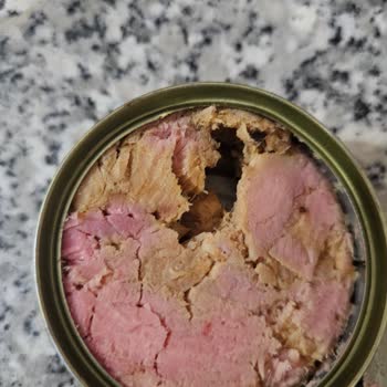 SuperFresh Bozuk Çıkan Ton Balığı