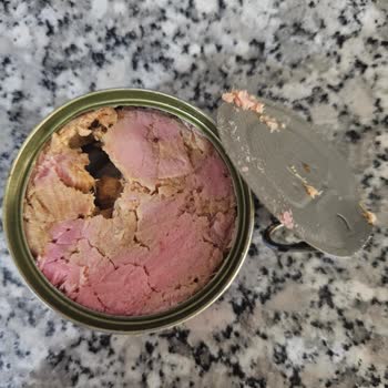 SuperFresh Bozuk Çıkan Ton Balığı