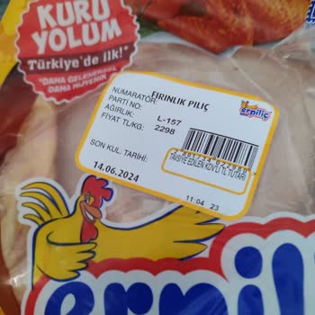 Erpiliç Tavuğun Üzerinde Fazlaca Tüy Var