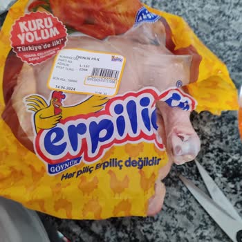 Erpiliç Tavuğun Üzerinde Fazlaca Tüy Var