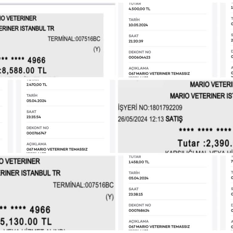 İstanbul Veteriner Hekimler Odası Pendik Mario Vet Kliniği Kedimizi Ölüme Terk Etti!