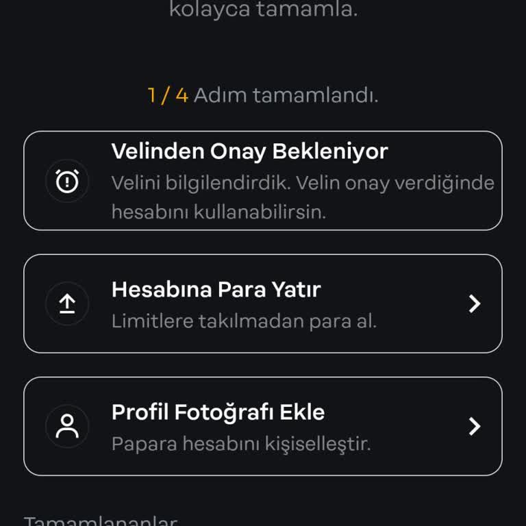Papara Veli Onayı Sorunu: Acil Yardım Bekliyorum!
