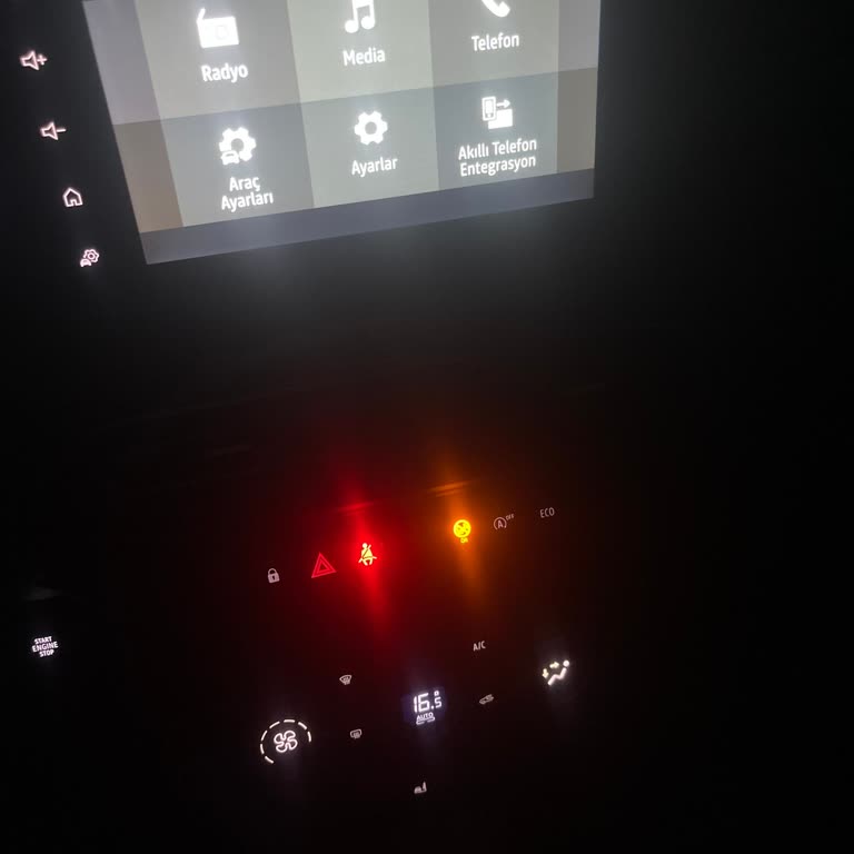 Dacia Tarsus'ta Araba Bakım Hizmeti Sorunları