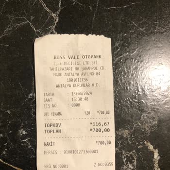 Boss Car & Care Fazla Ücrete Düşük İşçilik!