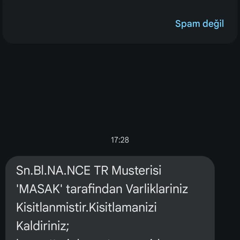 Binance Sn. B. I. N. A. N. C. E-TR Müşterisi MASAK Tarafından Kısıtlanmıştır