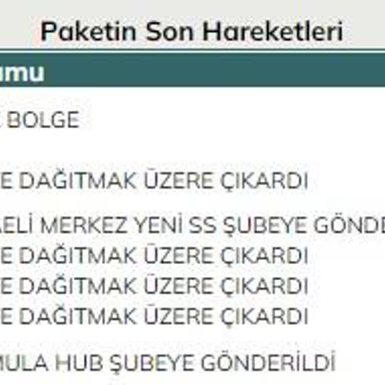 UPS Türkiye Kargomu Teslim Etmiyor?