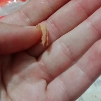 Hot Döner Yeme İçinden Kemik Sakatat Çıkıyor Ne Ararsan Var