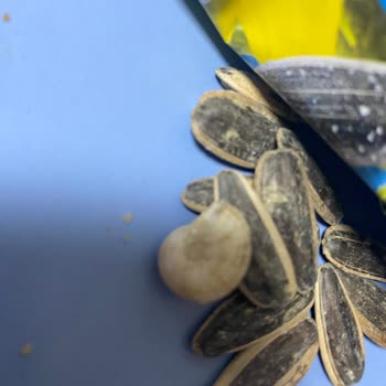 Gold Harvest Kuruyemiş Çekirdeğinden Salyangoz Çıktı
