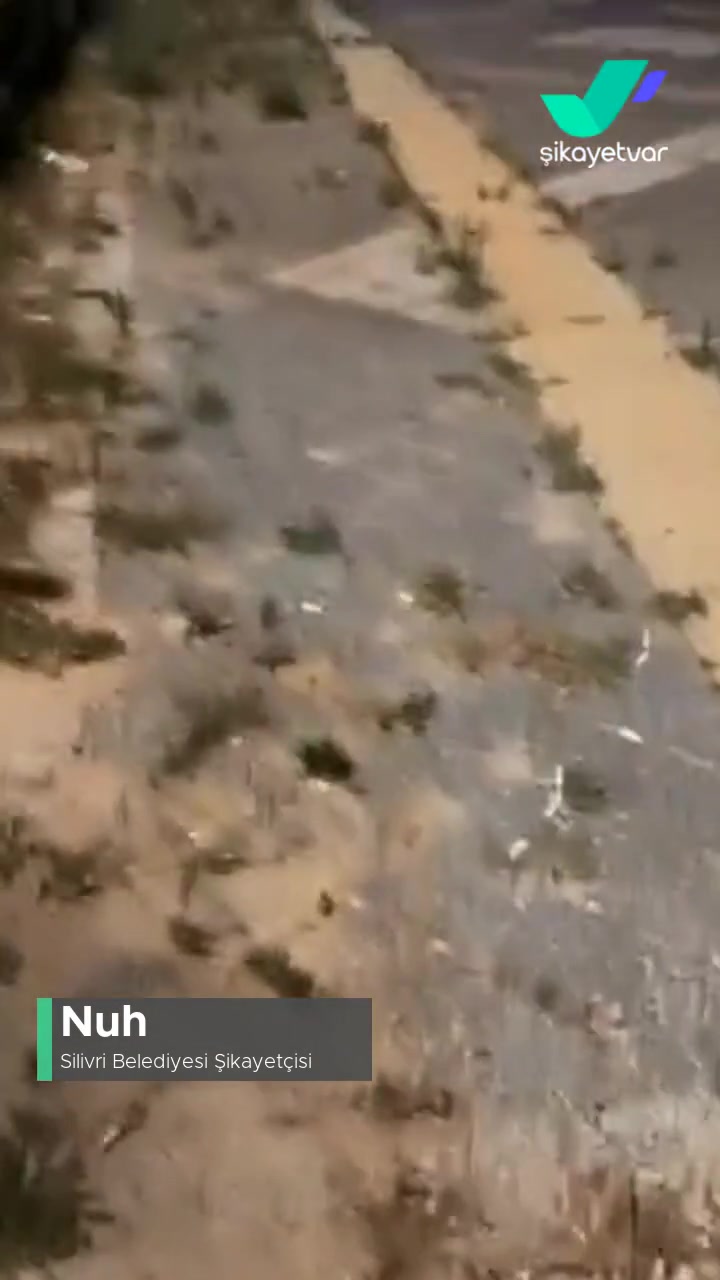 Silivri 100. Yıl Parkının Hali videonun kapak resmi