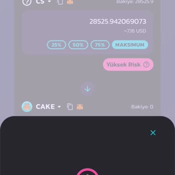 Binance Web 3 Transfer Hatası