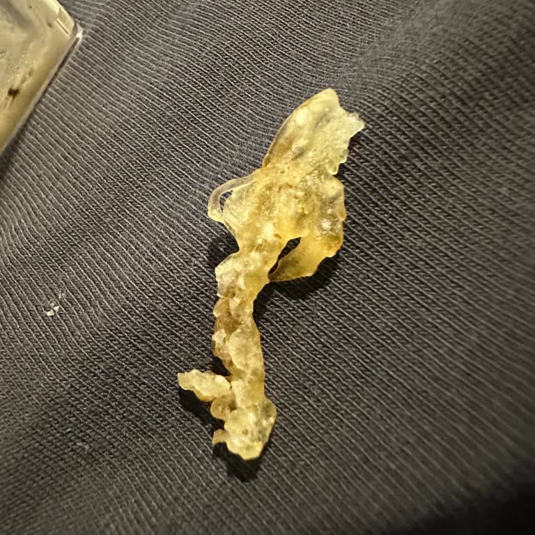 Sweet Heaven Tiramisu Cup Zehri