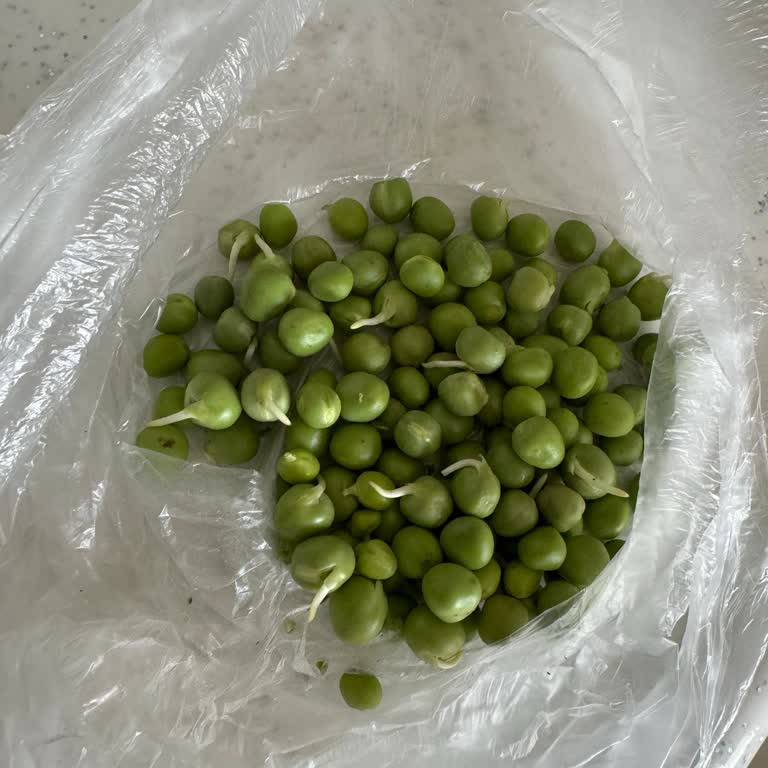 Profilo Bosch Buzdolabının Soğutma Sorunu Ve Yetersiz Servis Hizmeti