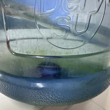 Mumcular Derya Su Mikrop Yuvası