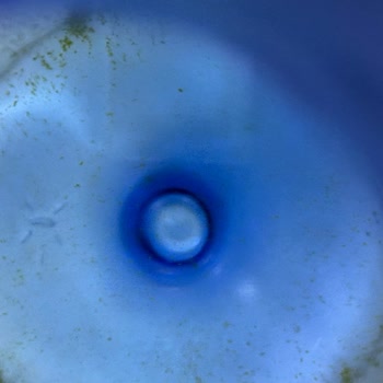 Mumcular Derya Su Mikrop Yuvası