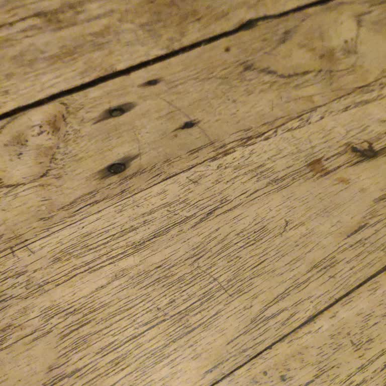 Göl Cafe Göl Kafe Bozuk Tatli