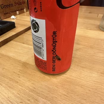 Green Salads Aqua Florya Şubesi Hamam Böceği