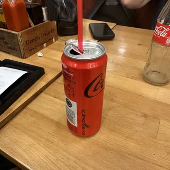 Green Salads Aqua Florya Şubesi Hamam Böceği