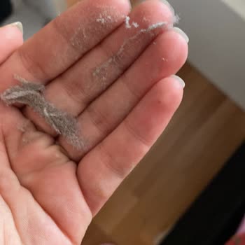 İlgisiz Firma Yalçın Temizlik Ve Elemanları