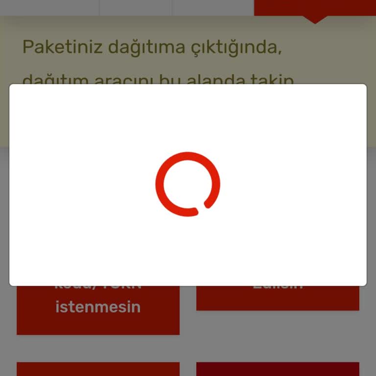 Kargom Sende Olmasaydı Keşke!