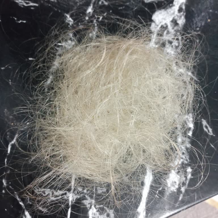 Elidor Saç Kreminin Saç Dökmesi