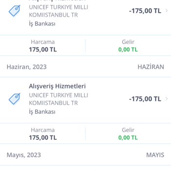 UNICEF Tek Seferlik Bağışı Otomatik Ödemeye Alması