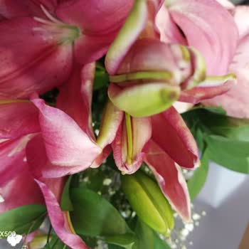 ÇiçekSepeti Lütfen Görerek Ve Koklayarak Çiçek Alın.