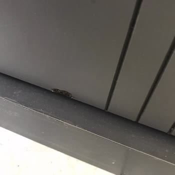 Sakarya Çetmen Mağazası Mobilyada Hasar Çıkması