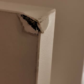 Bellona Andera Hatalı Dolap Kapağı