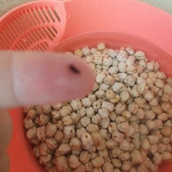 BİM'in Nohudunda Böcek Var!