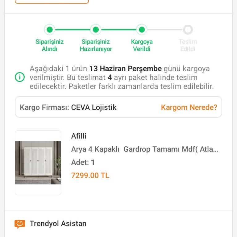 CEVA Logistics Kargo Teslimi Çok Geç