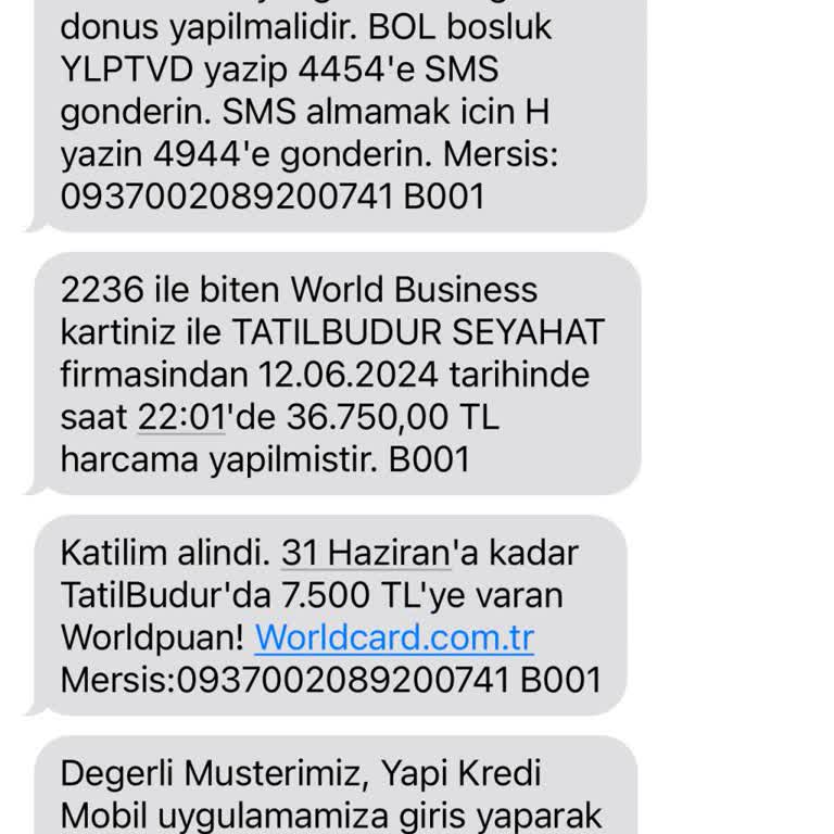 Tatilbudur.com Temsilcisinin Yanıltıcı Bilgi Paylaşımı