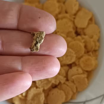 BİM Kelly's İçinden Çıkan!