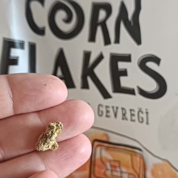 BİM Kelly's İçinden Çıkan!