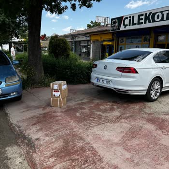 Sürat Kargo Eringeç Kargo Dağıtanı