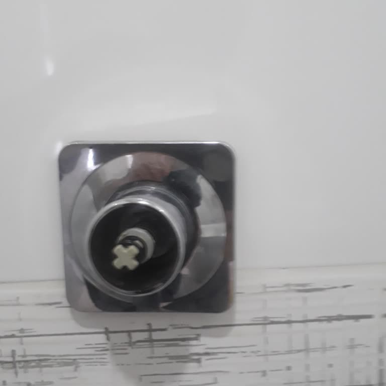 Teska Bas Bırak Vana Sorunu