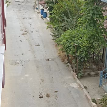 Arnavutköy Belediyesi'nin Çözüm Sunamaması