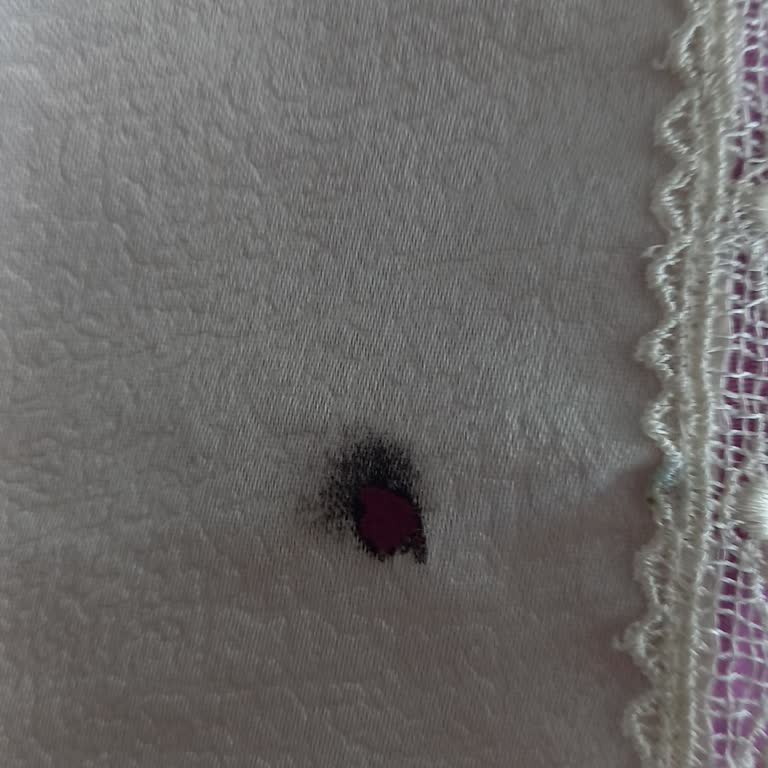 Samsung Çamaşır Makinesi Kablosu Yandı