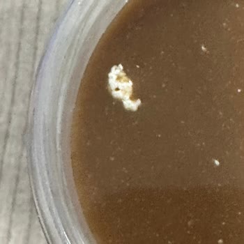 Obsesso Kahve İçinden Beyaz Bir Şey Çıkması