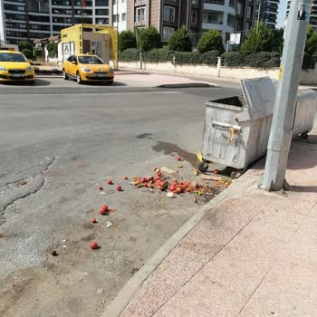 Mersin Büyükşehir Belediyesi Mersin Çevre Kirliliği