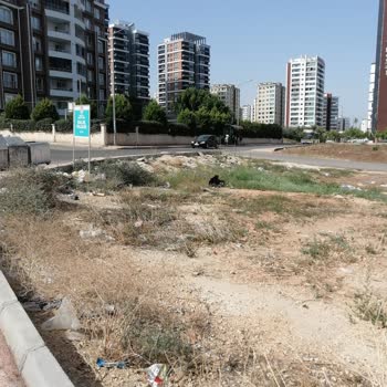 Mersin Büyükşehir Belediyesi Mersin Çevre Kirliliği