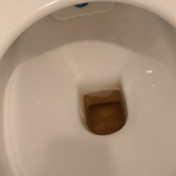 ECA-SEREL Marka Klozet Şikayeti