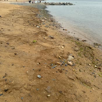 İhlas İhlas Armutlu İşletmecilerin İlgisizliği