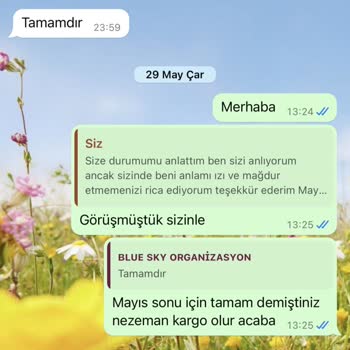 Blue Sky Organizasyon Hayal Kırıklığı Yaratan Müşteri Deneyimi Ve Güven Sorunu